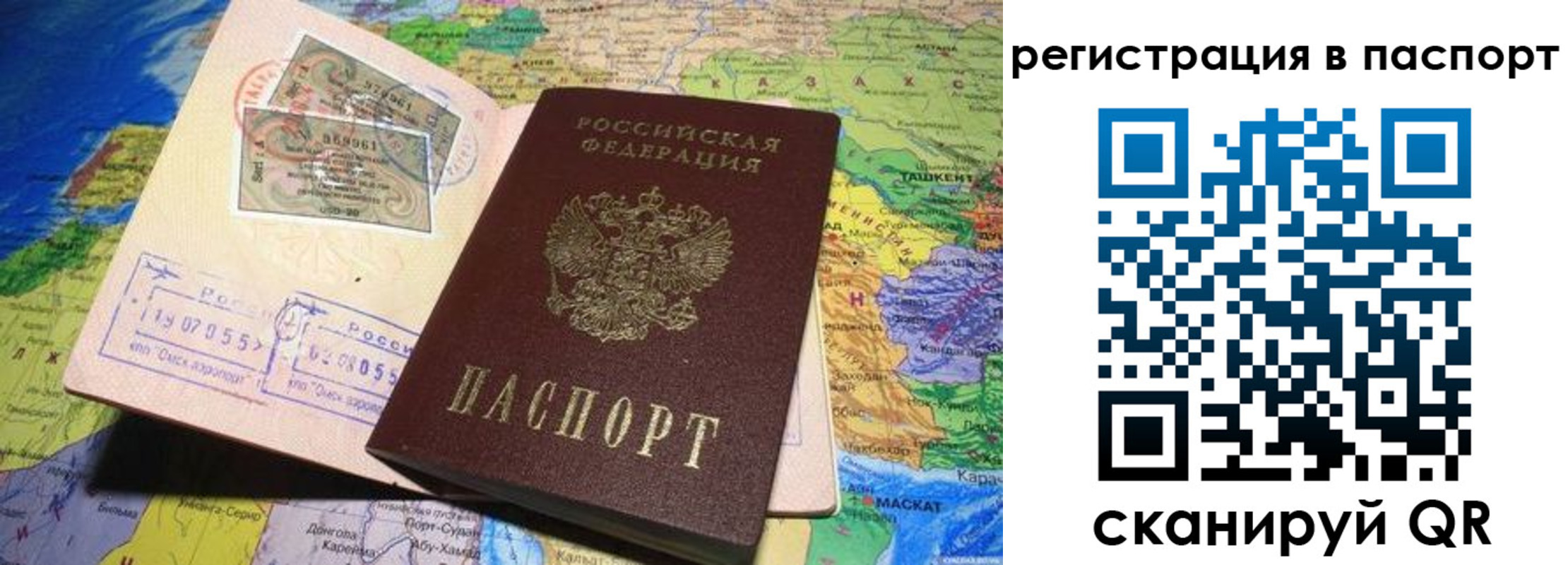 прописка гарантия в Кингисеппе